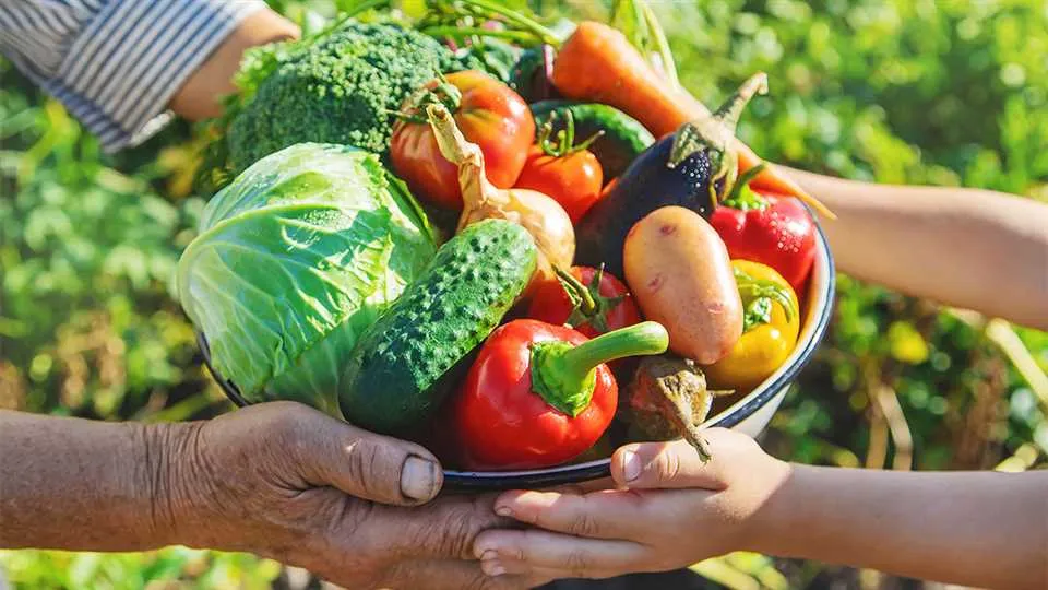 Sezonowość owoców i warzyw